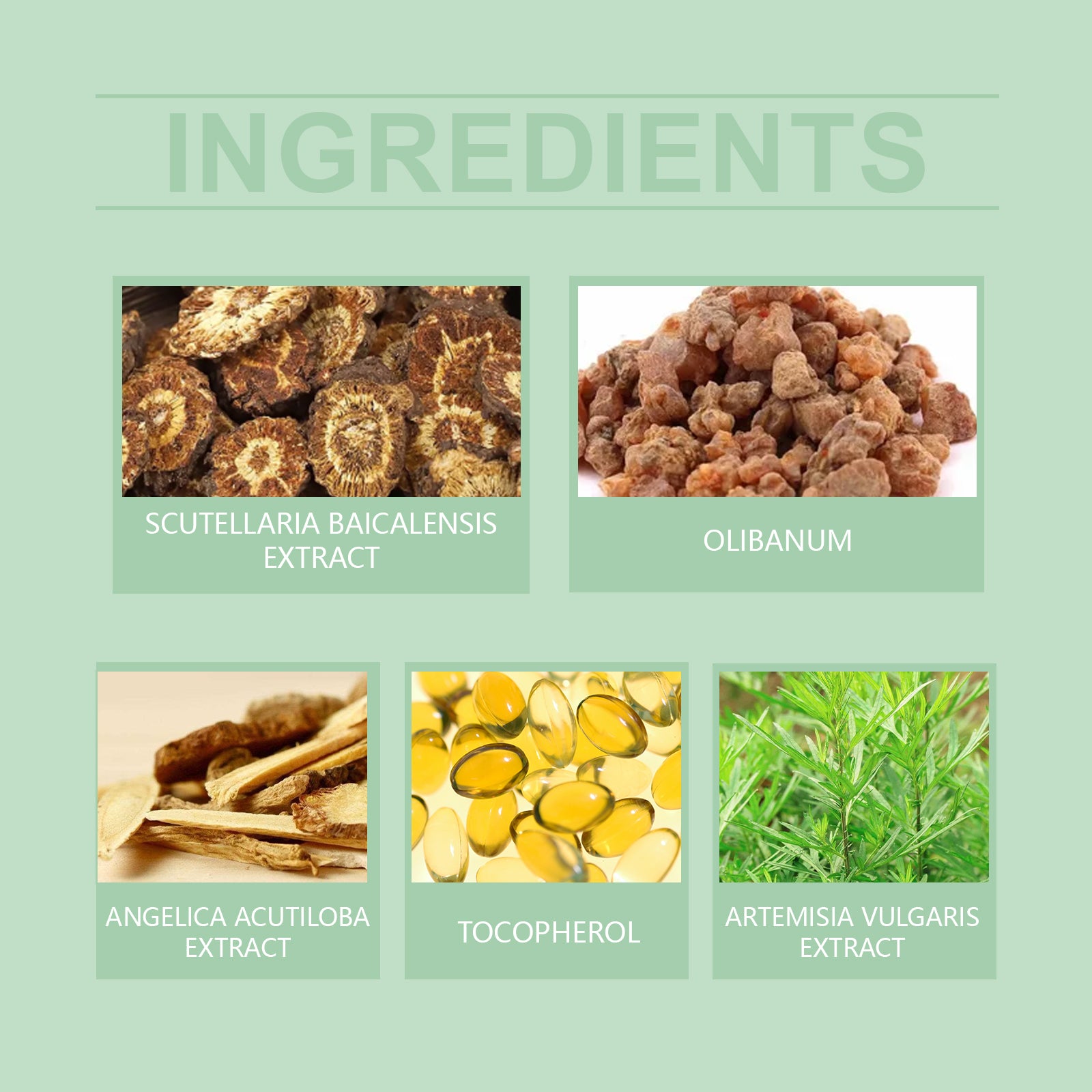 HerbalLift Body Cream