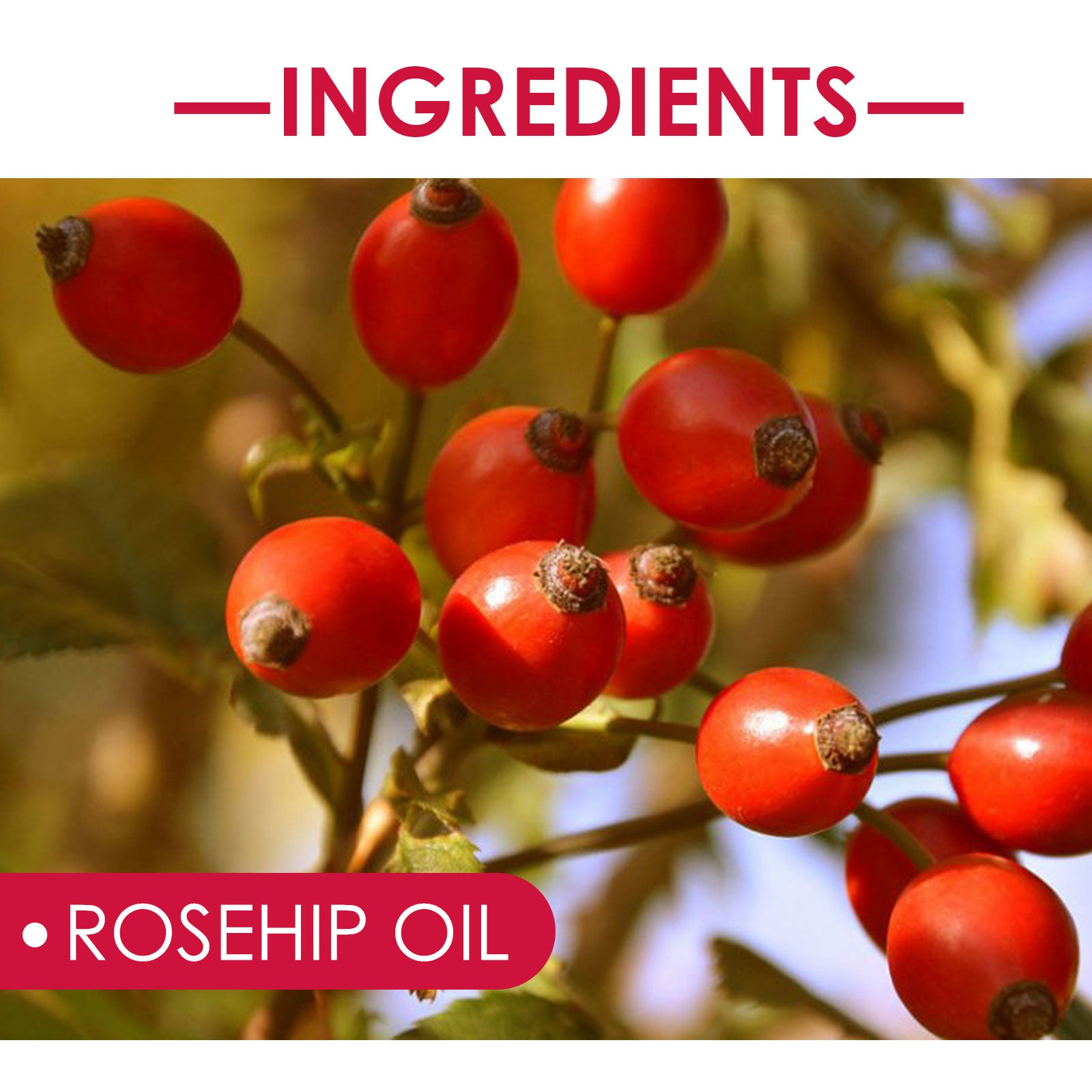 PureRosehip Body Oil