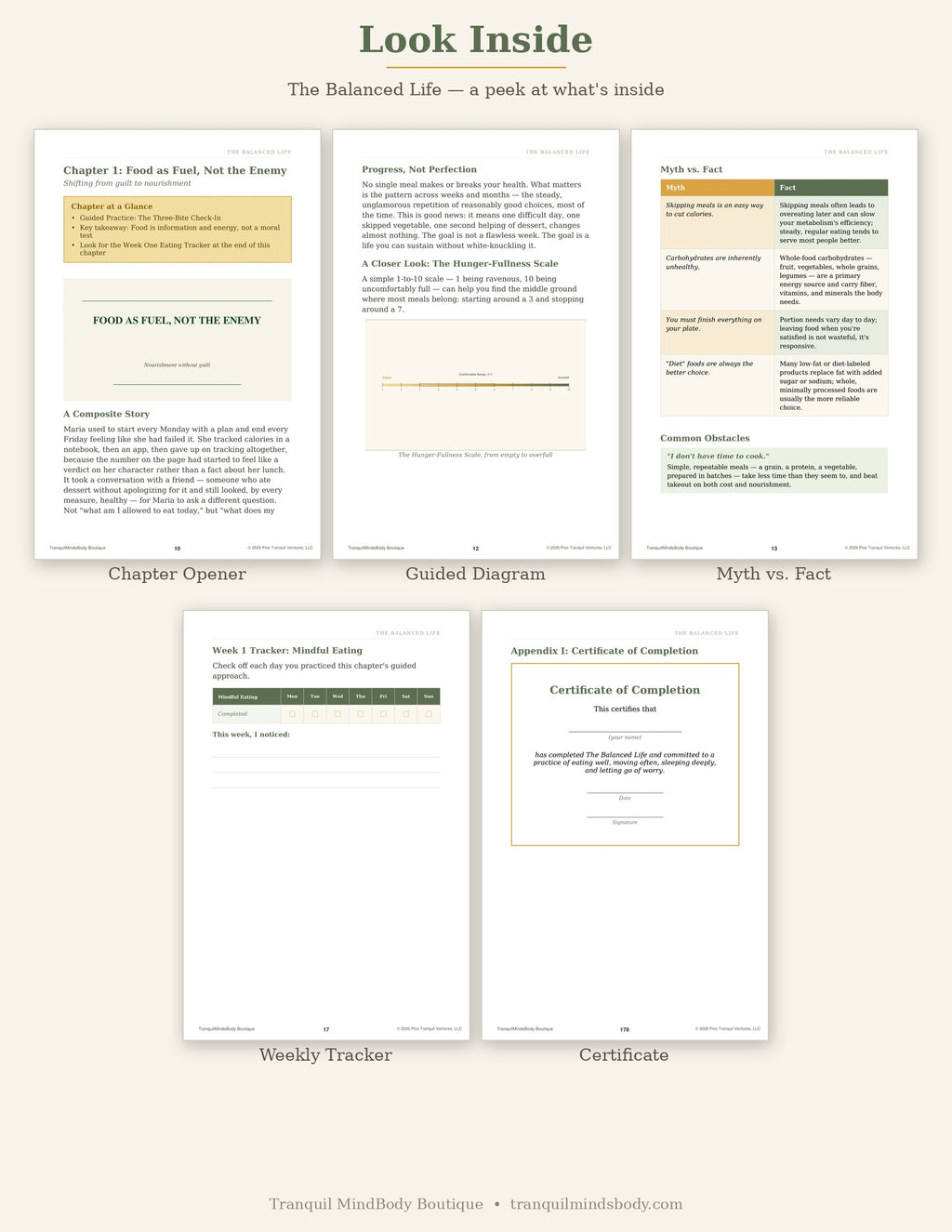 Look Inside The Balanced Life - chapter previews, guided diagrams, weekly trackers and certificate of completion