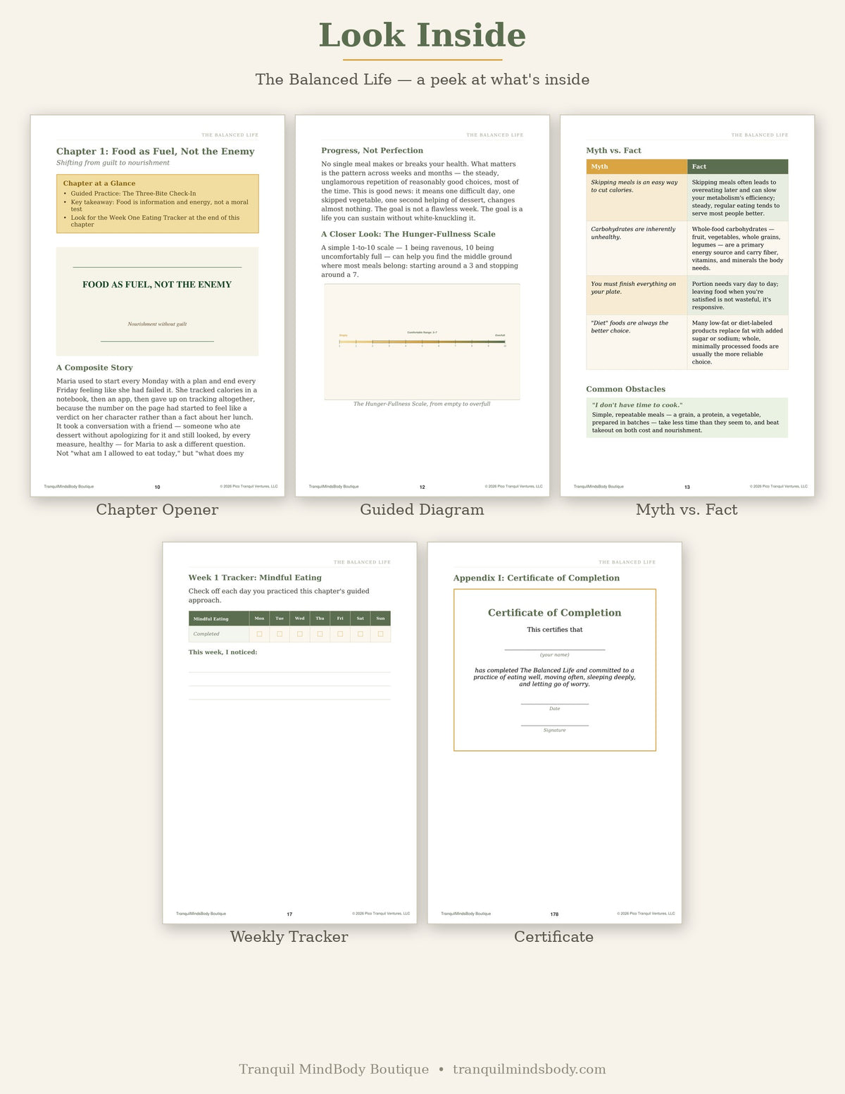 Look Inside The Balanced Life - chapter previews, guided diagrams, weekly trackers and certificate of completion